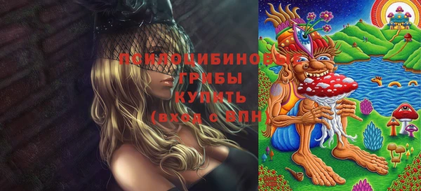 экстази Белокуриха