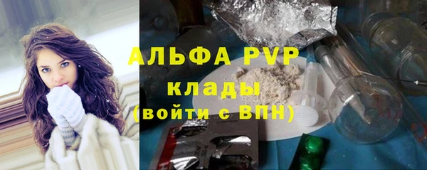 стаф Сосновоборск